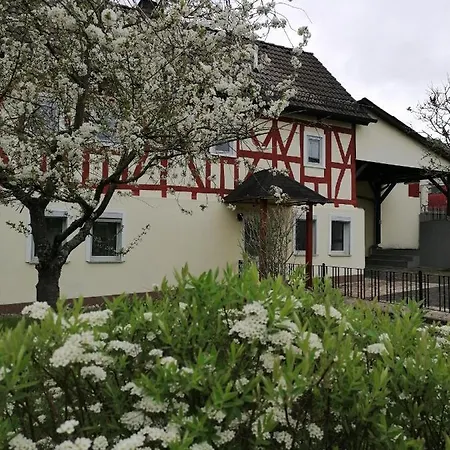 Adler Vendégház Selters (Westerwaldkreis)