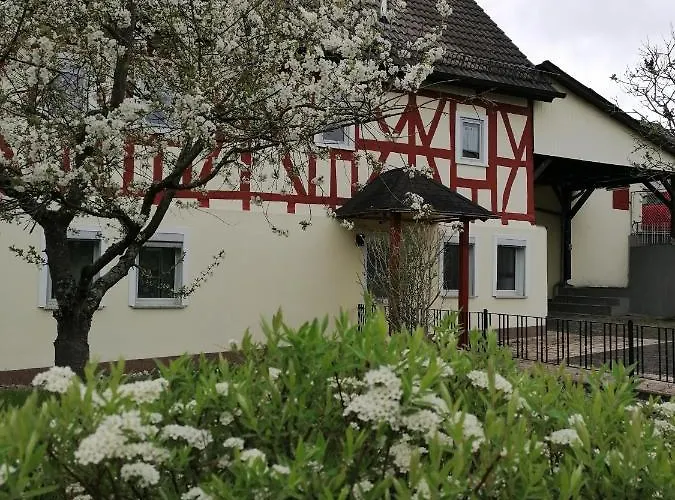 Adler Pensionat Selters (Westerwaldkreis)