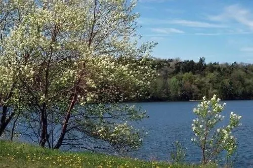 Adler 3* Selters (Westerwaldkreis)