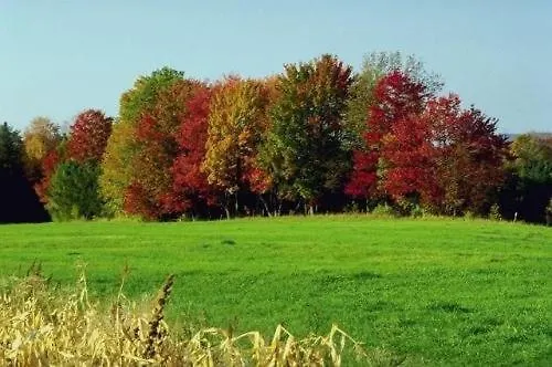 Adler 3* Selters (Westerwaldkreis)